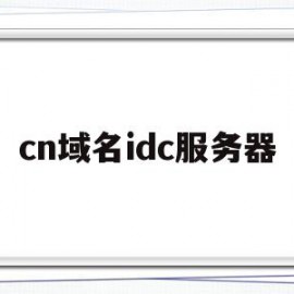 cn域名idc服务器(cn域名根服务器在哪里)