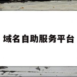 域名自助服务平台(域名服务网站)