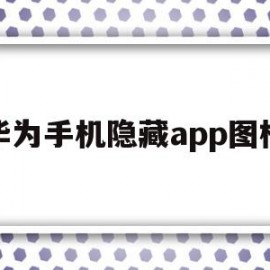 华为手机隐藏app图标(华为手机隐藏app图标怎么共享)