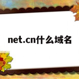 关于net.cn什么域名的信息