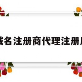 域名注册商代理注册局(域名注册服务商)