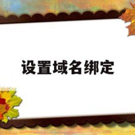 设置域名绑定(绑定域名的时候可以指定端口吗)