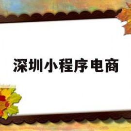 深圳小程序电商(深圳小程序电商招聘)