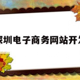 深圳电子商务网站开发(深圳电子商务网站开发招聘)