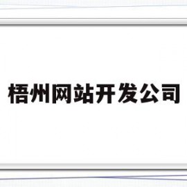 梧州网站开发公司(梧州网络科技有限公司)