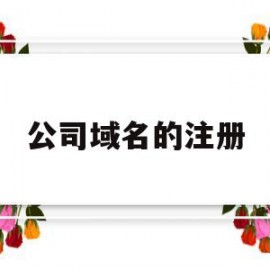 公司域名的注册(公司域名怎么注册)