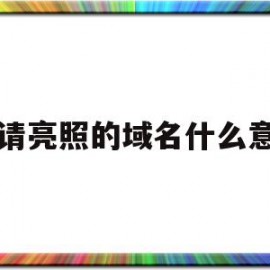 申请亮照的域名什么意思(申请org域名有什么条件)