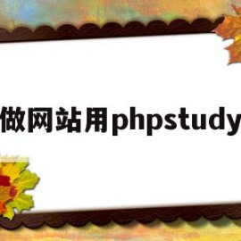 做网站用phpstudy(做网站用虚拟主机还是服务器)