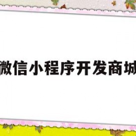 微信小程序开发商城(微信小程序开发商城项目)