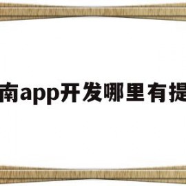 河南app开发哪里有提供(河南app开发哪里有提供的)