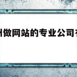 苏州做网站的专业公司有哪些(苏州网站建设哪家比较好)