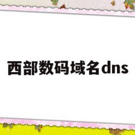 西部数码域名dns(西部数码域名注册官网)