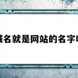 域名就是网站的名字吗(域名是否就是我们平时所称的网址)