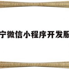 南宁微信小程序开发服务(南宁微信小程序开发服务公司)