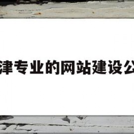 天津专业的网站建设公司(天津网站建设外包)