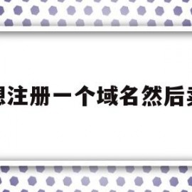 想注册一个域名然后卖(注册一个域名就能挣几百万)