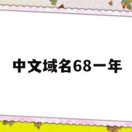 中文域名68一年(中文域名网址多少钱)