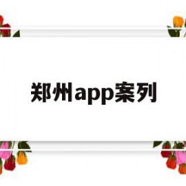 郑州app案列(郑州案件查询系统)