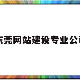 东莞网站建设专业公司(东莞网站建设做网站)