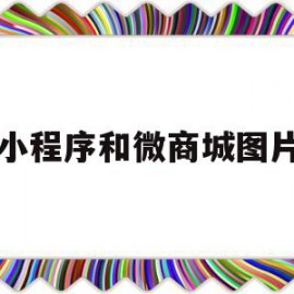 小程序和微商城图片(小程序和微商城的区别)