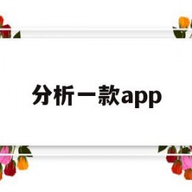 分析一款app(分析一款app界面的优缺点)