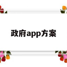 政府app方案(政府app的优缺点)