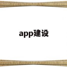 app建设(App建设 投标)