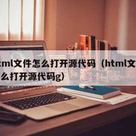 html文件怎么打开源代码（html文件怎么打开源代码g）