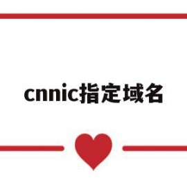 cnnic指定域名(指定域名走指定的dns)