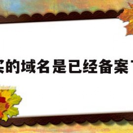 购买的域名是已经备案了吗(购买的域名是已经备案了吗怎么查)