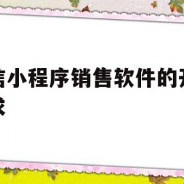 微信小程序销售软件的开发要求(微信小程序销售软件的开发要求是什么)
