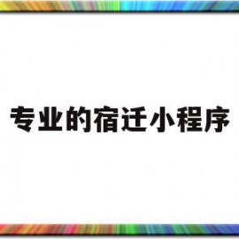 专业的宿迁小程序(宿迁微信便民服务平台)