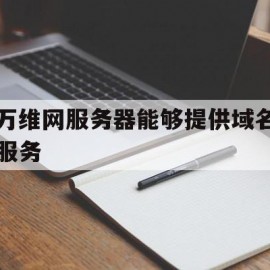 万维网服务器能够提供域名服务的简单介绍