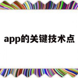 app的关键技术点(app的关键技术点在哪里)