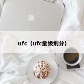 ufc（ufc量级划分）