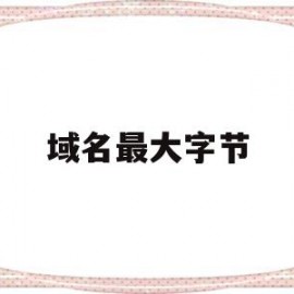 域名最大字节(域名最大长度是多少个字符)