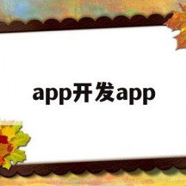 app开发app(app开发定制公司)