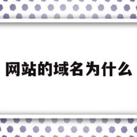 网站的域名为什么(网站的域名为什么不能修改)