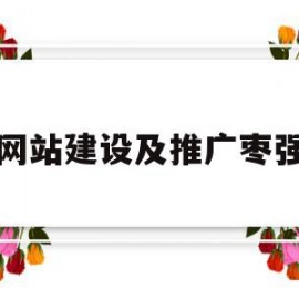 网站建设及推广枣强(网站建设推广是什么意思啊)