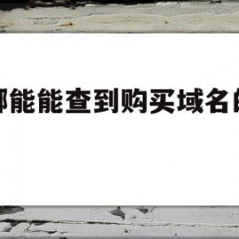 在哪能能查到购买域名的企业(购买域名去哪里)