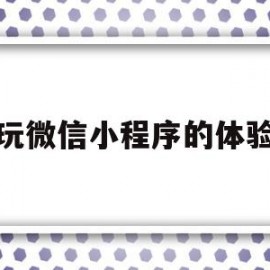 玩微信小程序的体验(玩微信小程序的体验怎么写)