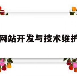 网站开发与技术维护的简单介绍