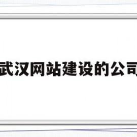 武汉网站建设的公司(武汉网站建设公司网站优化推广产品)