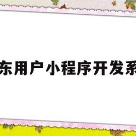 山东用户小程序开发系统(山东微信小程序)
