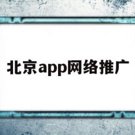 北京app网络推广(北京app网络推广公司)