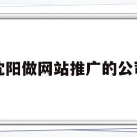 沈阳做网站推广的公司(沈阳网站排名推广)