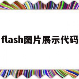 flash图片展示代码(flash插图)