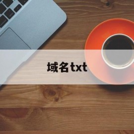 域名txt(域名txt解析查询)
