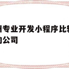 杭州专业开发小程序比较权威的公司(杭州专业开发小程序比较权威的公司是哪家)