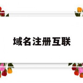 域名注册互联(域名注册∫godaddy)